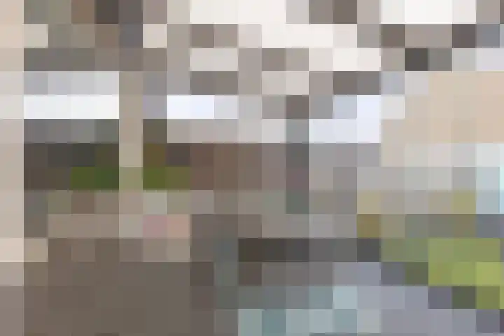 Omloop 3 Bergen op Zoom thumbnail 4