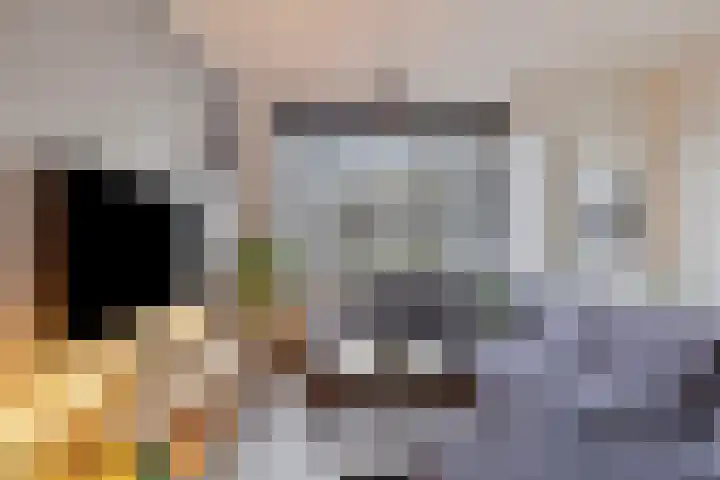 Omloop 3 Bergen op Zoom thumbnail 8