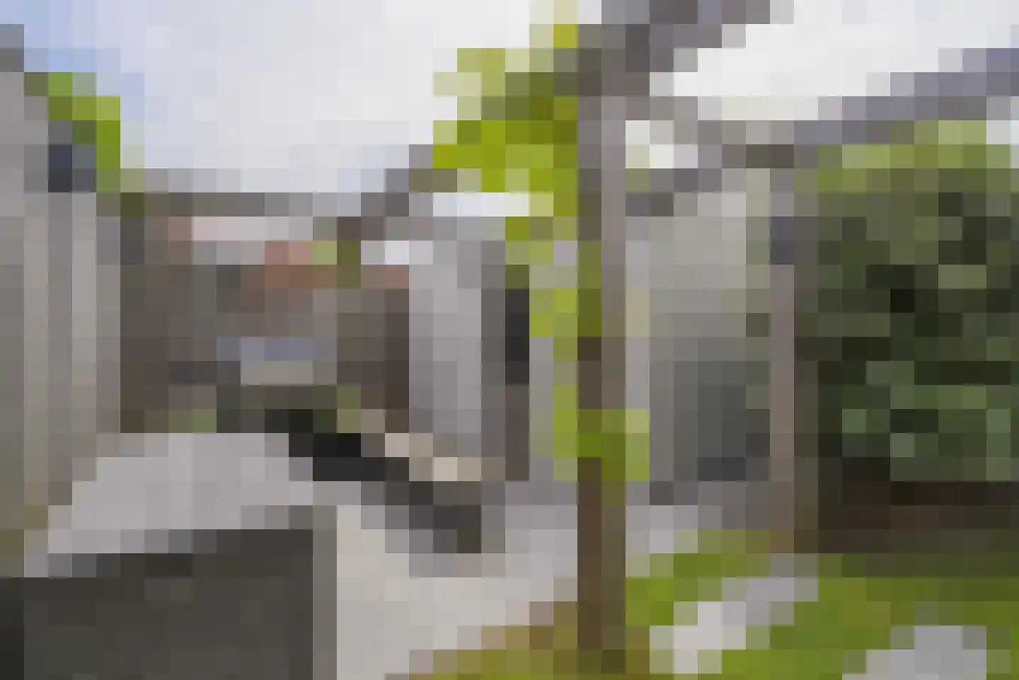 Omloop 31 Middelburg thumbnail 34