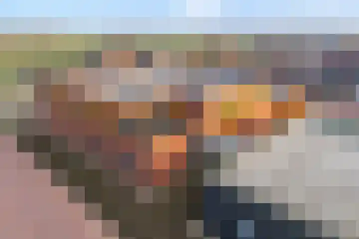 Omloop 32 Nieuwleusen thumbnail 11