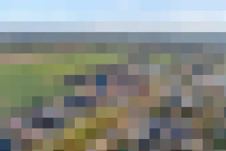 Omloop 32 Nieuwleusen thumbnail 13
