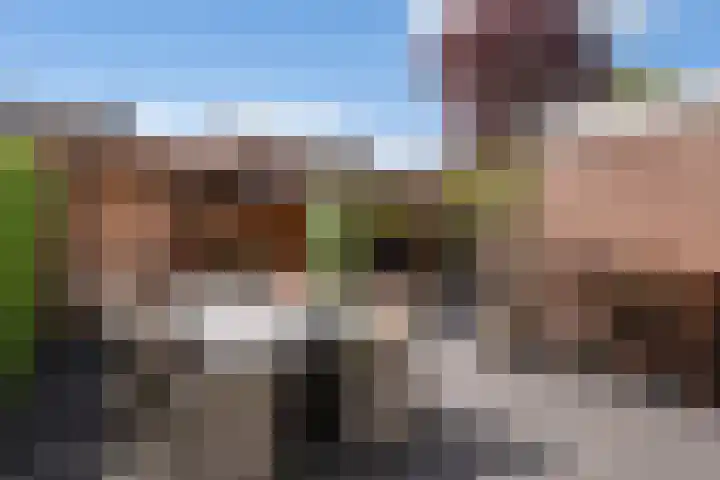 Omloop 32 Nieuwleusen thumbnail 43