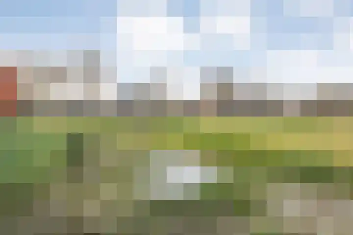 Omloop 32 Nieuwleusen thumbnail 62