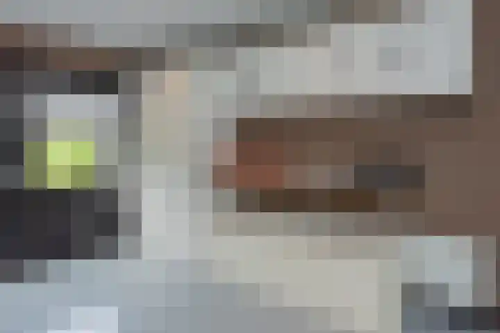 Omloop 33 Elburg thumbnail 25