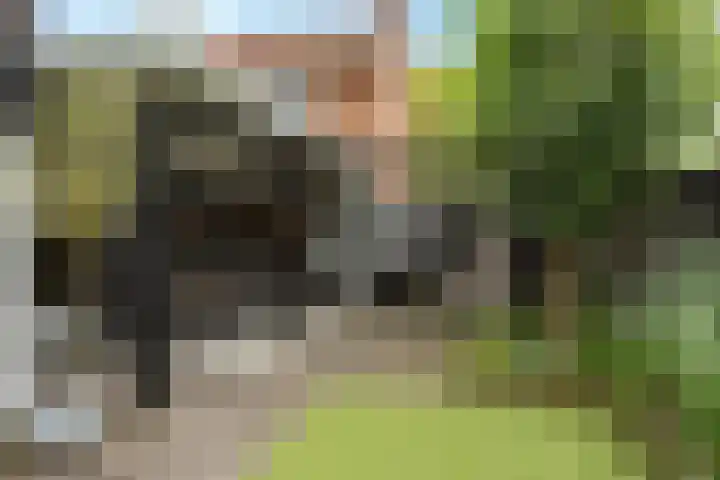 Omloop 33 Elburg thumbnail 48