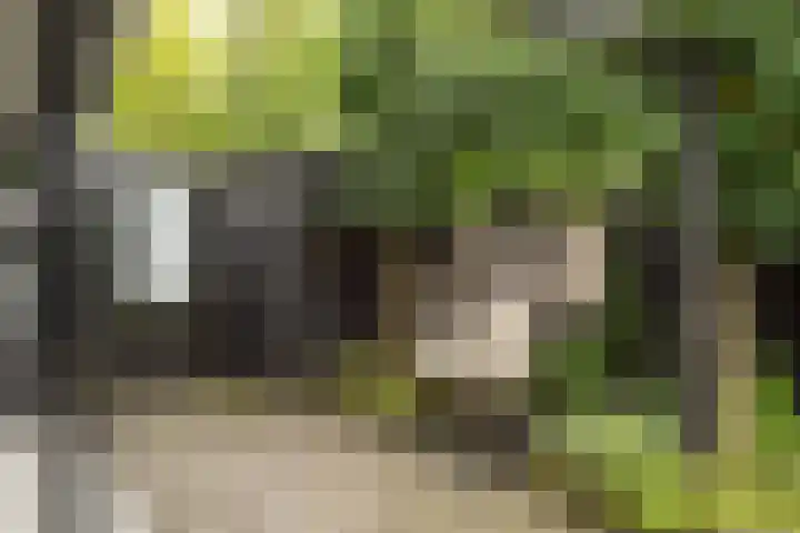 Omloop 33 Elburg thumbnail 51