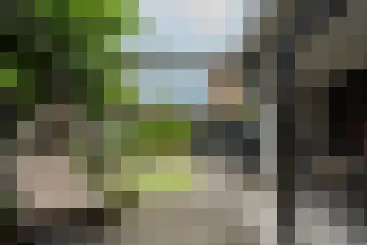 Omloop 33 Elburg thumbnail 52