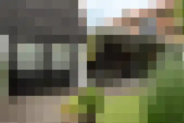 Omloop 33 Elburg thumbnail 54