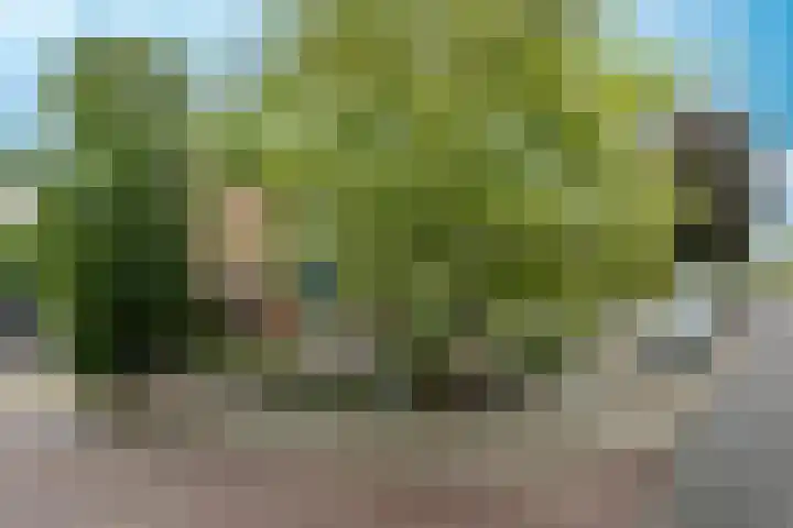 Omloop 33 Elburg thumbnail 55