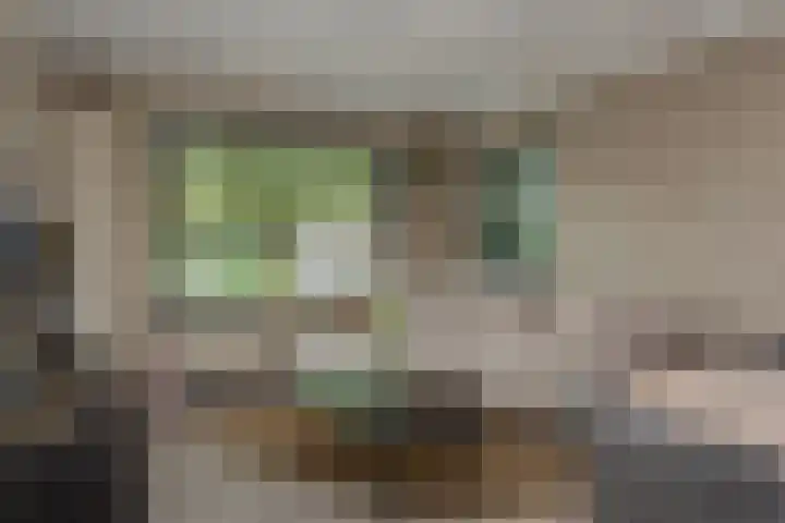 Omloop 33 Elburg thumbnail 6
