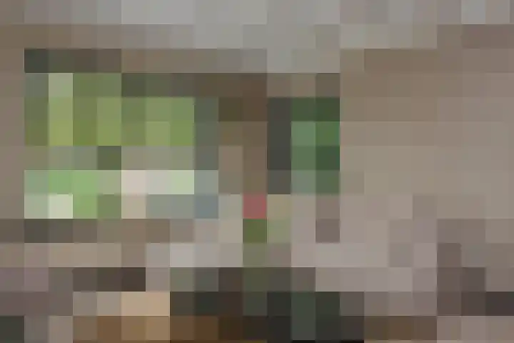 Omloop 33 Elburg thumbnail 7