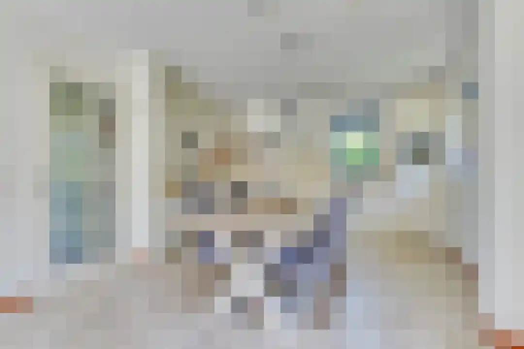 Omloop 35 007 Schoorl thumbnail 17
