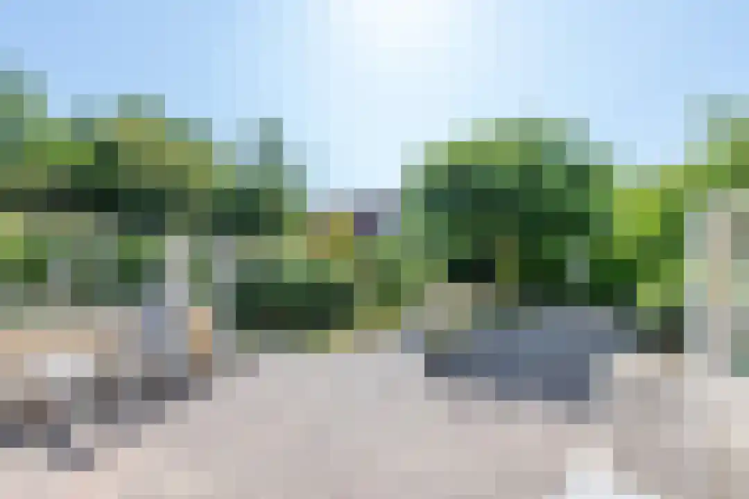 Omloop 35 007 Schoorl thumbnail 23