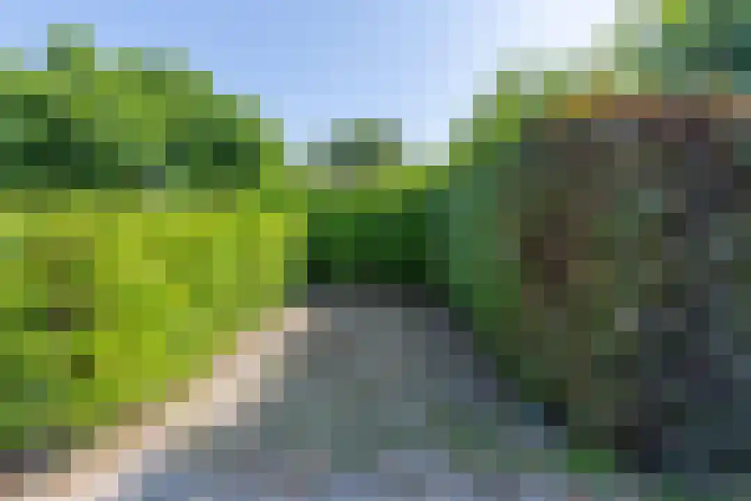 Omloop 35 007 Schoorl thumbnail 26
