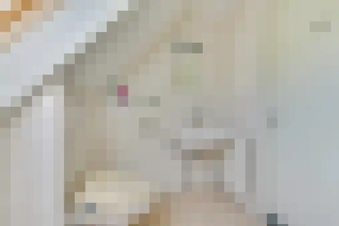 Omloop 35 007 Schoorl thumbnail 35