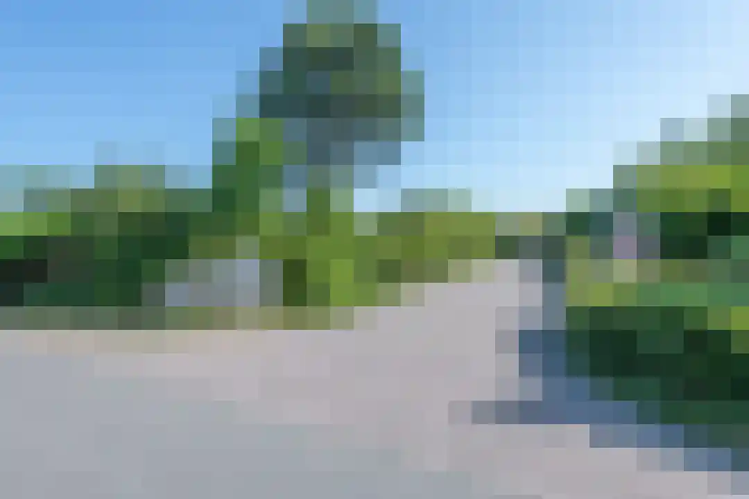 Omloop 35 007 Schoorl thumbnail 40