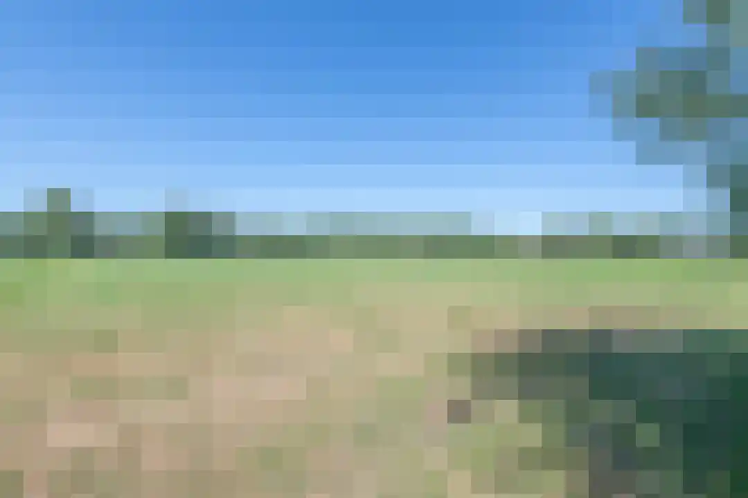 Omloop 35 007 Schoorl thumbnail 41