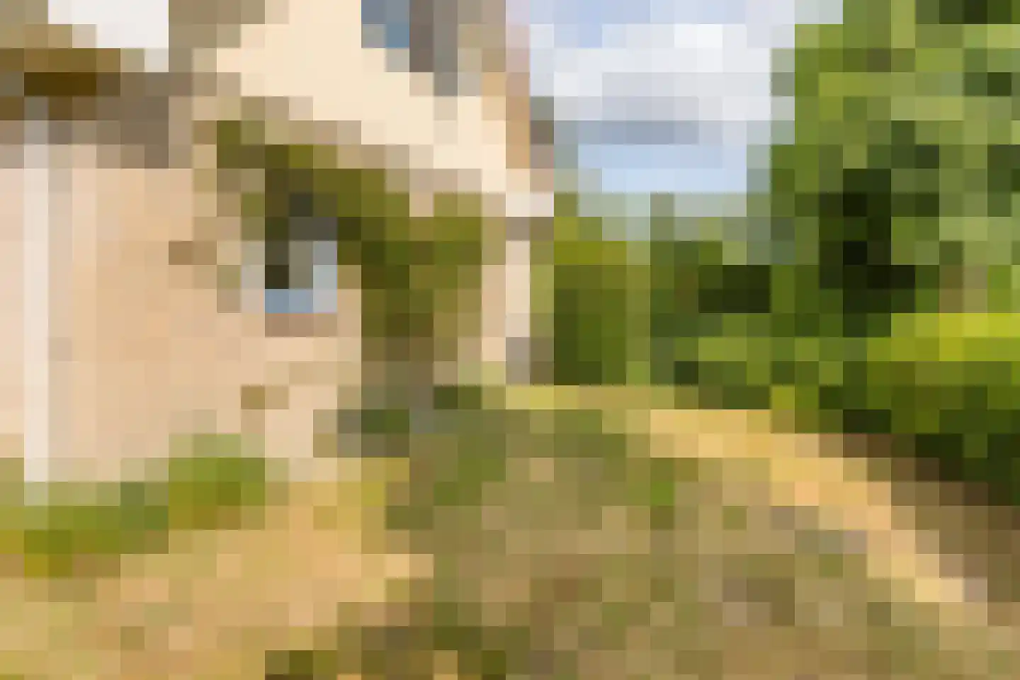 Omloop 35 027 Schoorl thumbnail 10