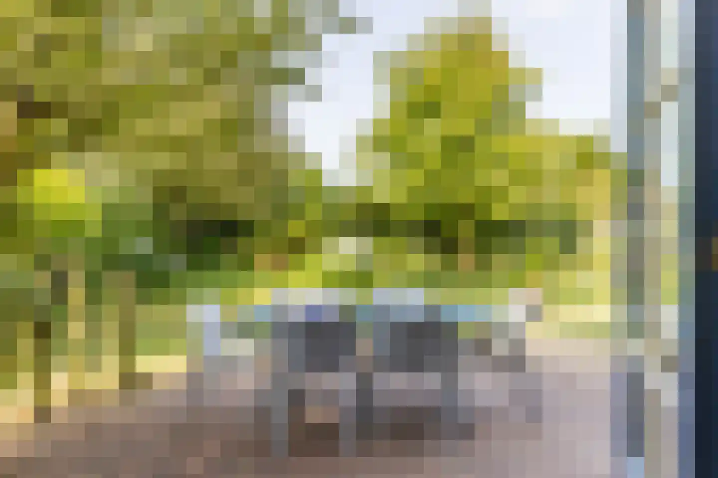Omloop 35 027 Schoorl thumbnail 28