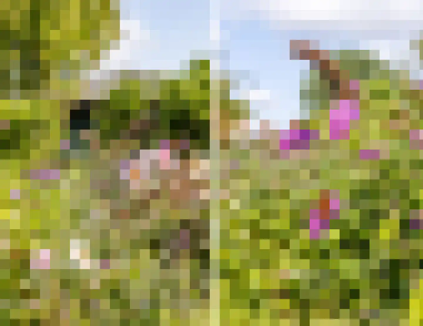 Omloop 35 027 Schoorl thumbnail 31