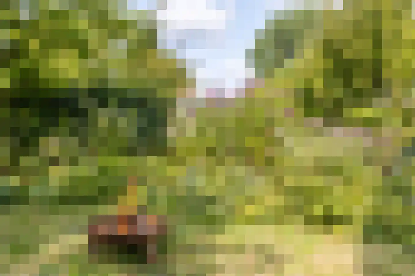 Omloop 35 027 Schoorl thumbnail 34