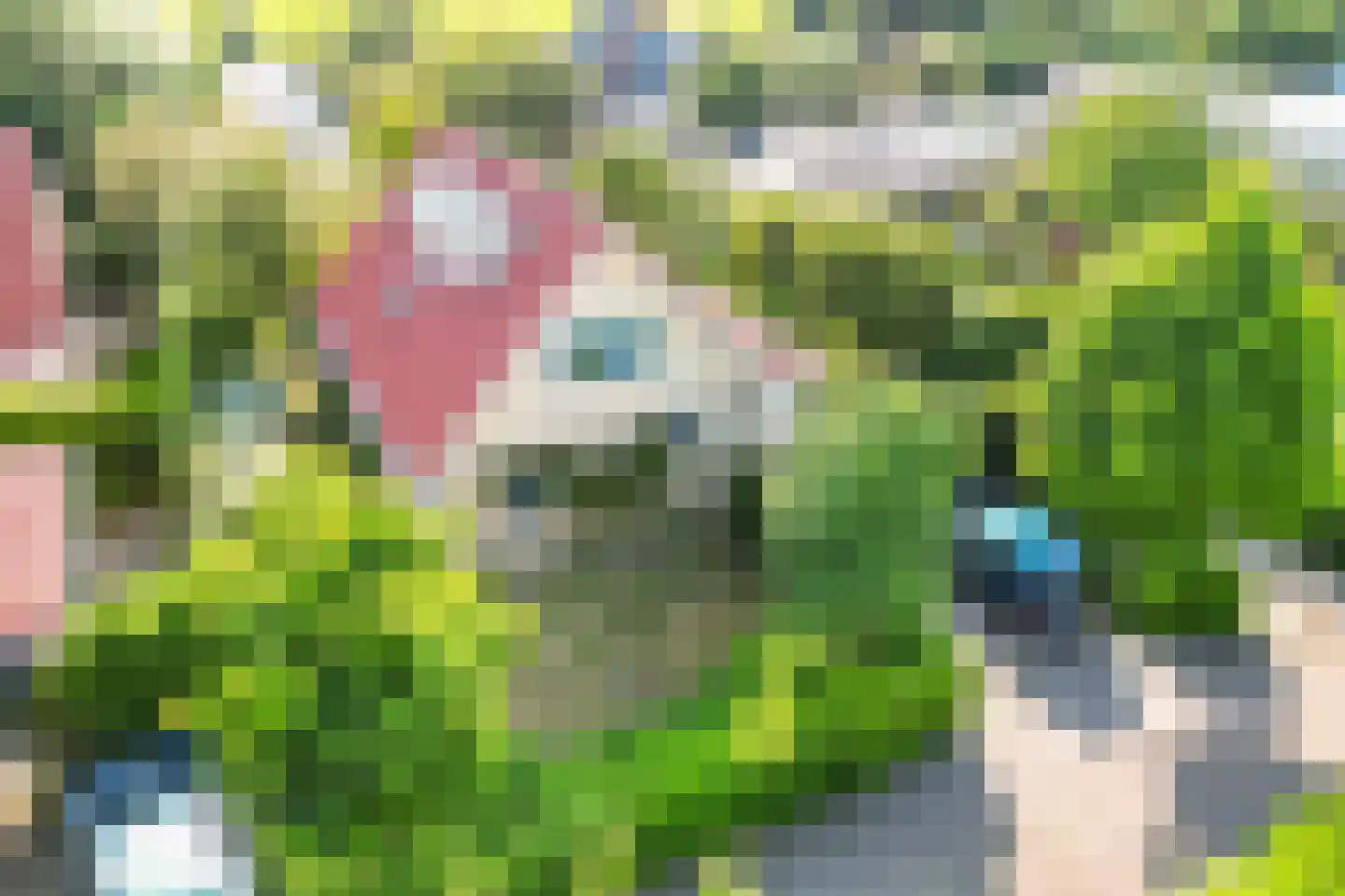 Omloop 35 027 Schoorl thumbnail 35