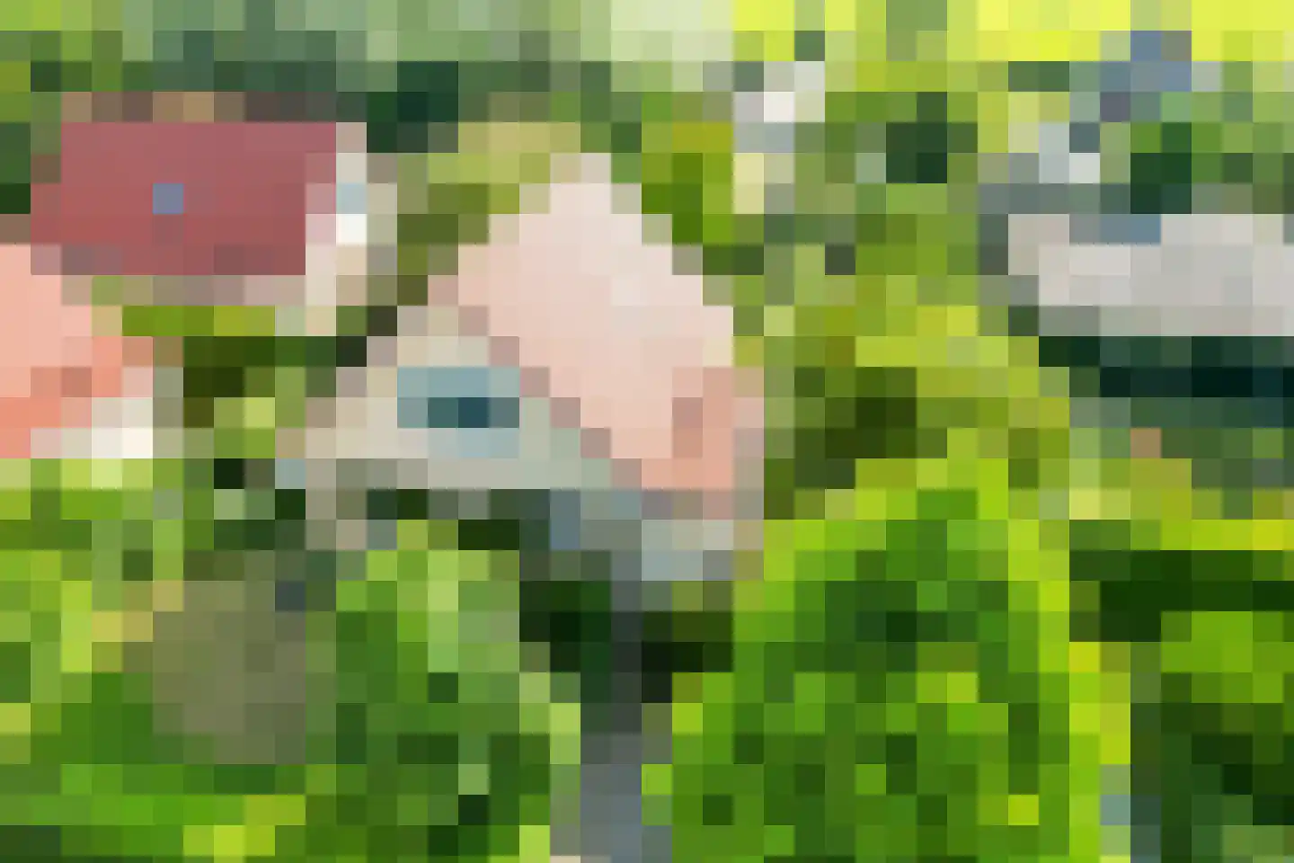 Omloop 35 027 Schoorl thumbnail 36
