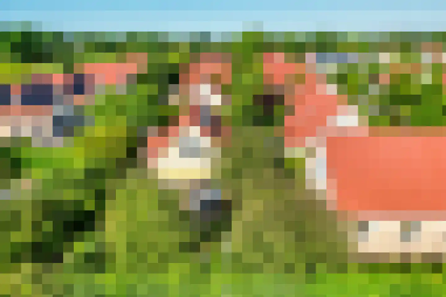 Omloop 35 027 Schoorl thumbnail 37