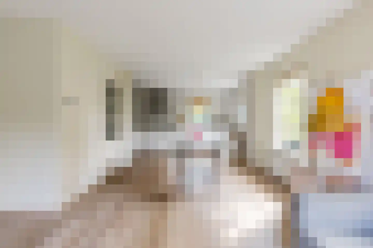Omloop 35 027 Schoorl thumbnail 5