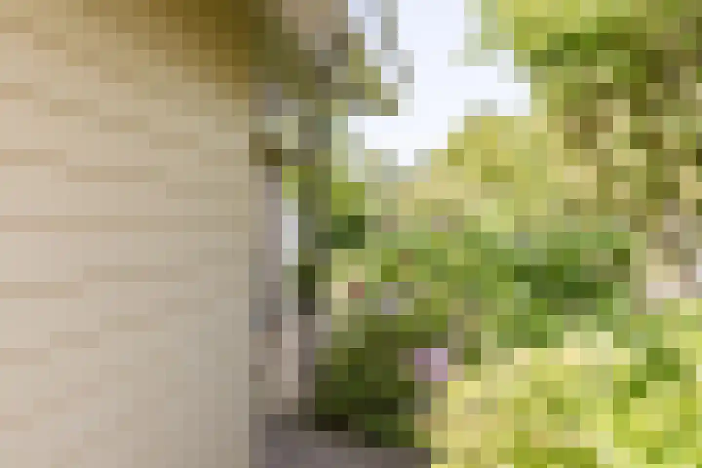 Omloop 35 027 Schoorl thumbnail 8