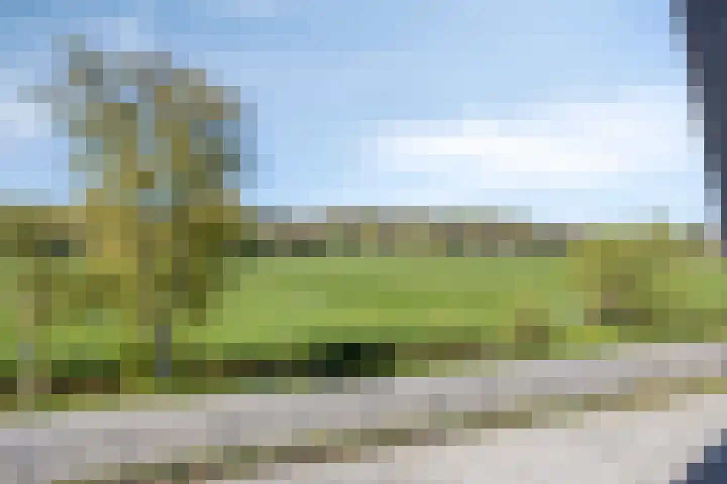 Omloop 35 Schoorl thumbnail 85
