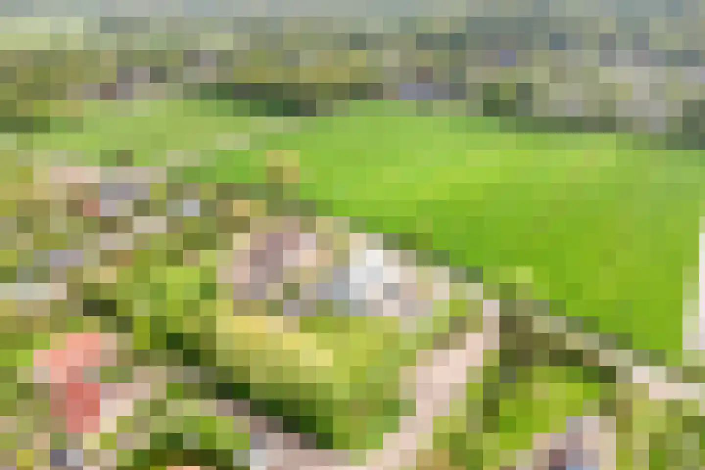 Omloop 35 Schoorl thumbnail 89