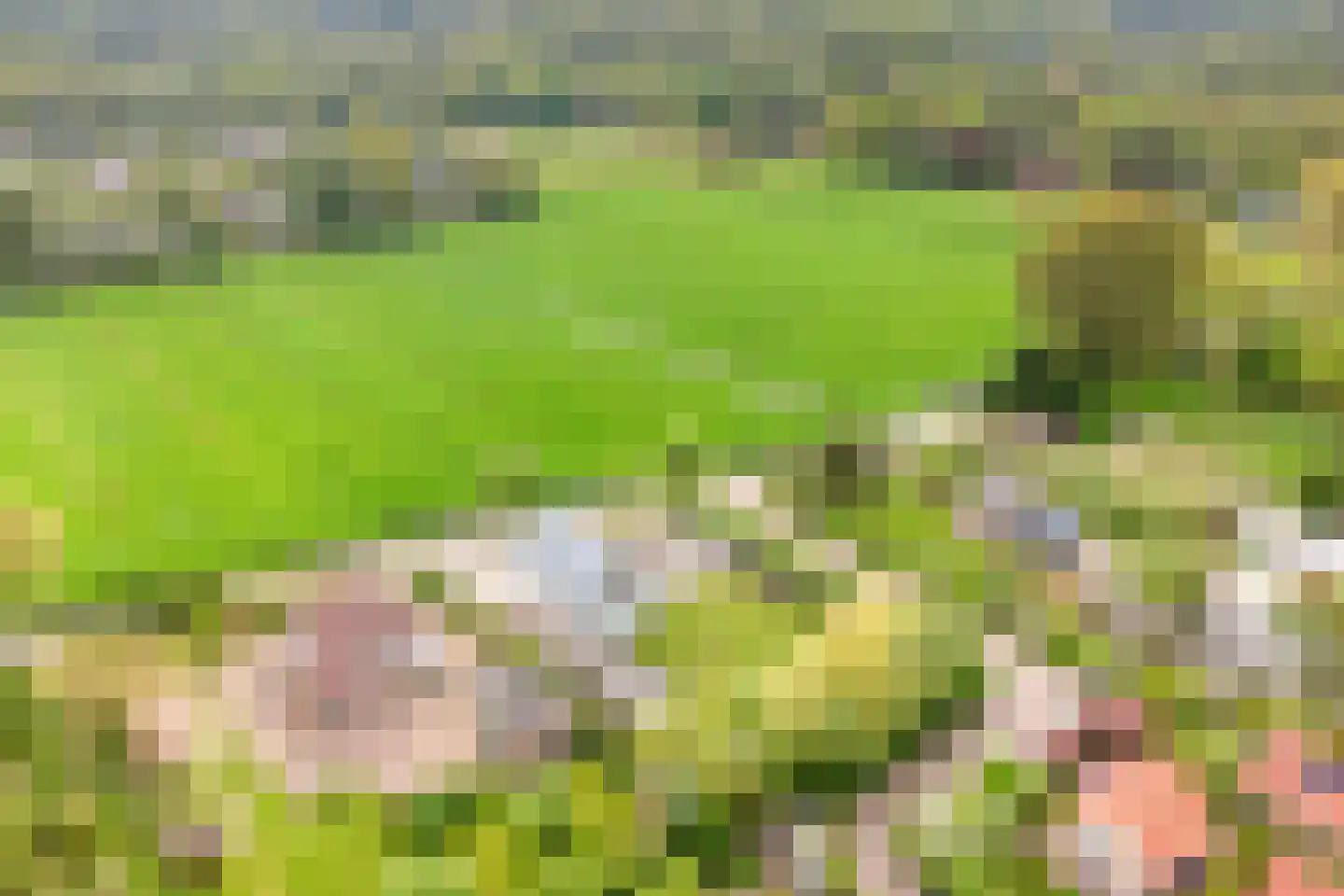 Omloop 35 Schoorl thumbnail 90