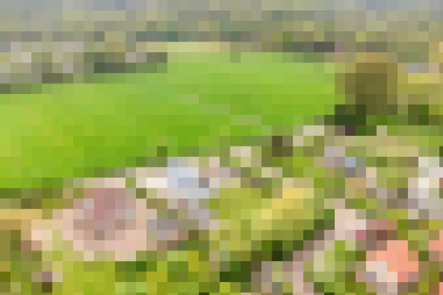 Omloop 35 Schoorl thumbnail 91