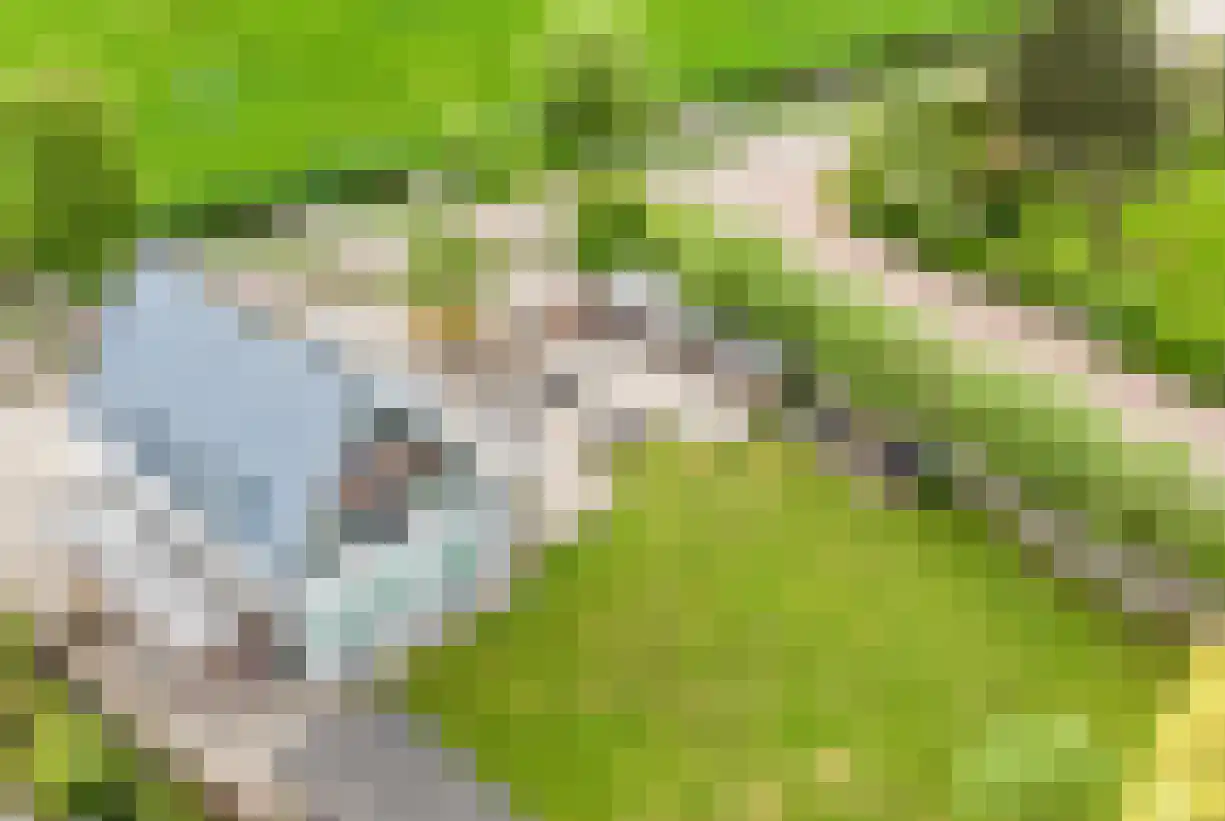 Omloop 35 Schoorl thumbnail 92