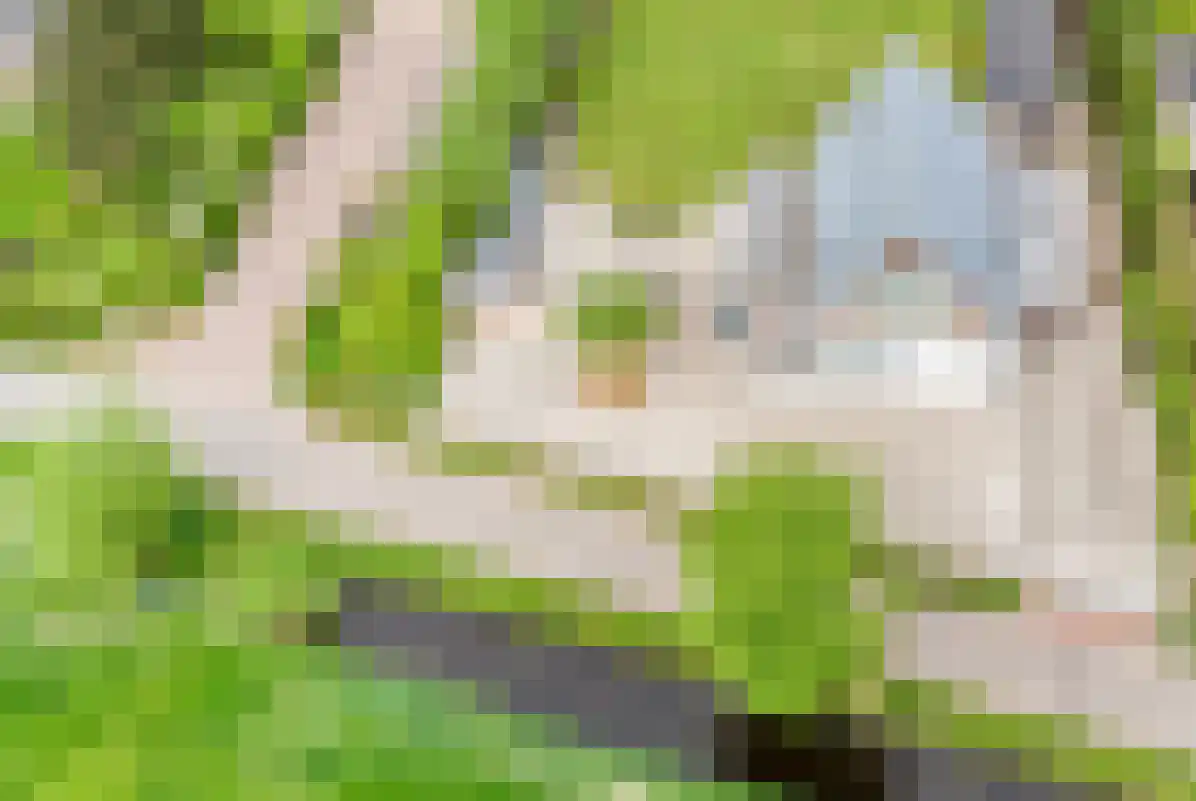 Omloop 35 Schoorl thumbnail 94