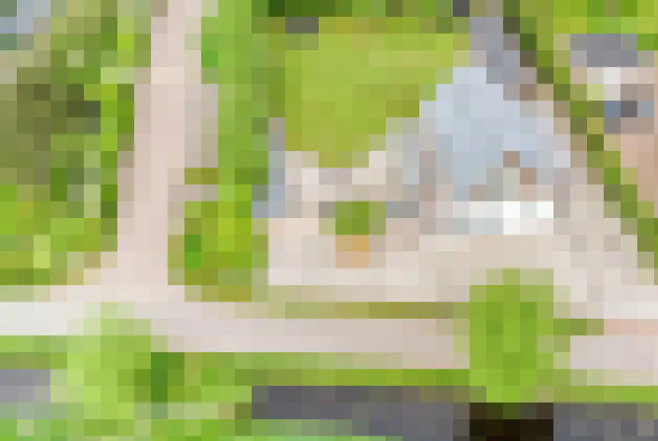 Omloop 35 Schoorl thumbnail 95