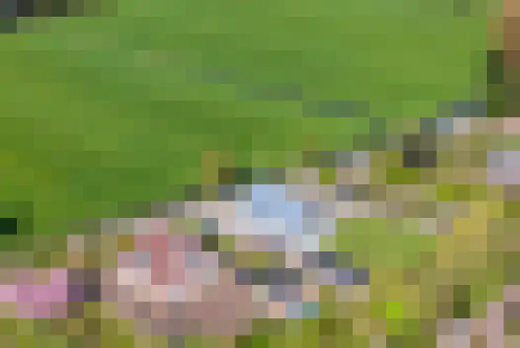 Omloop 35 Schoorl thumbnail 96