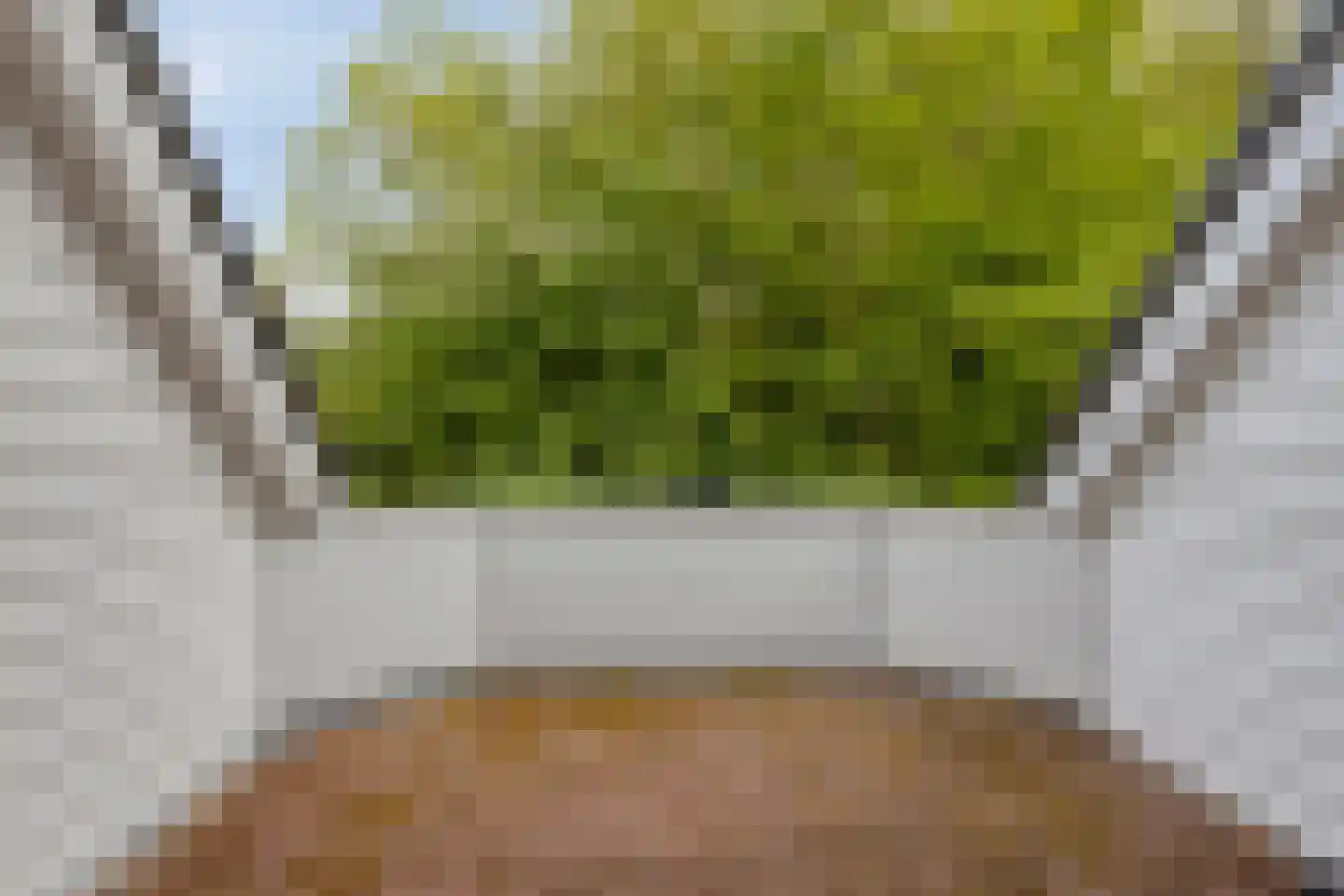 Omloop 43 Schoorl thumbnail 34