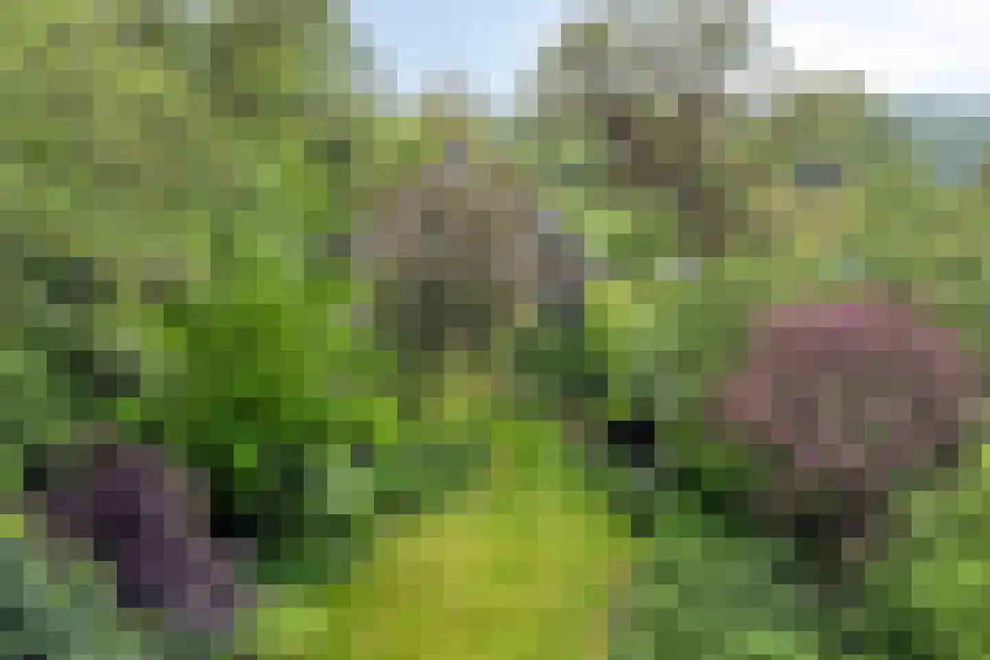 Omloop 43 Schoorl thumbnail 35