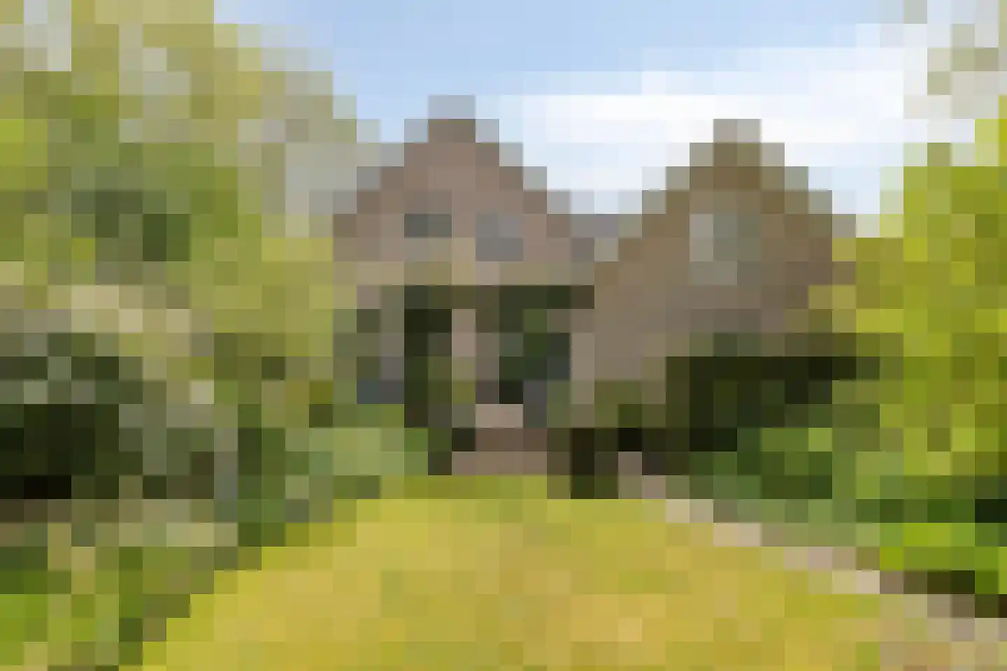 Omloop 43 Schoorl thumbnail 38