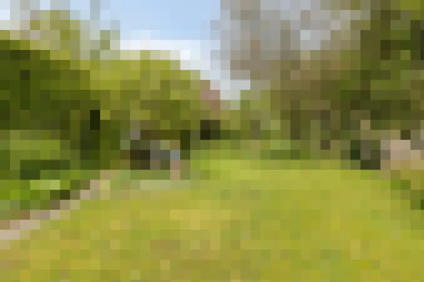 Omloop 43 Schoorl thumbnail 39