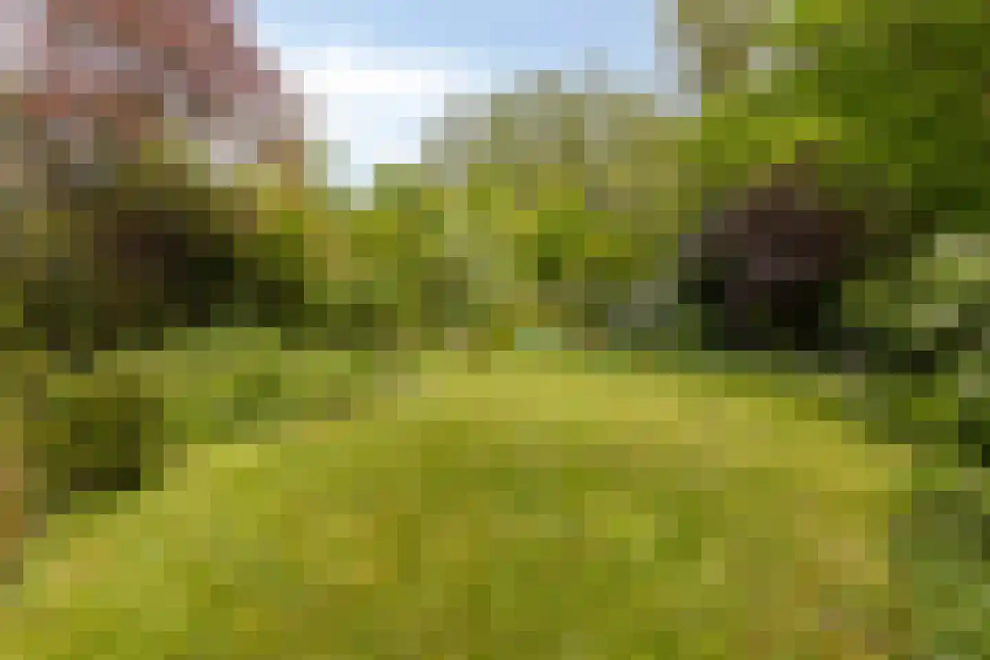 Omloop 43 Schoorl thumbnail 40