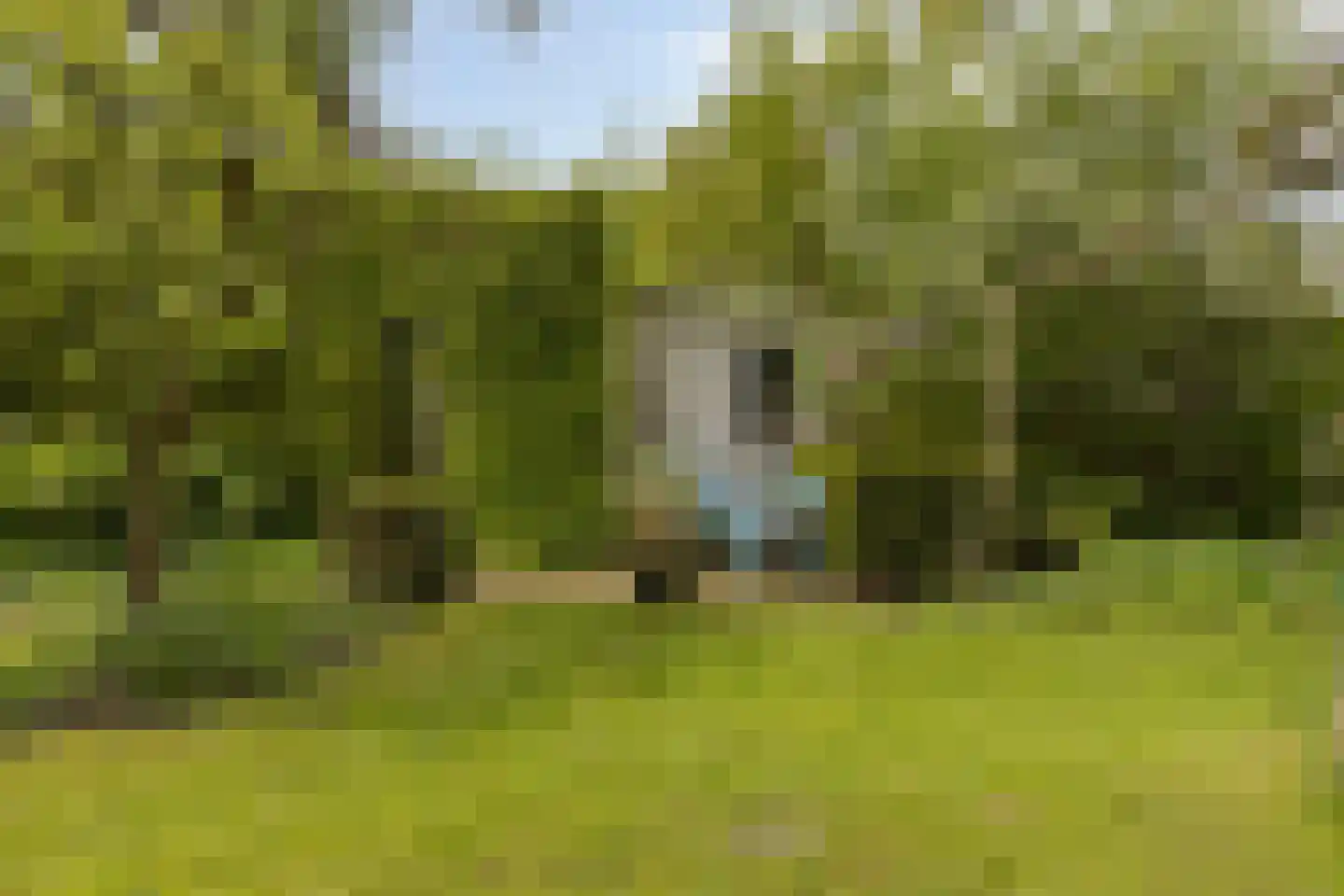 Omloop 43 Schoorl thumbnail 41