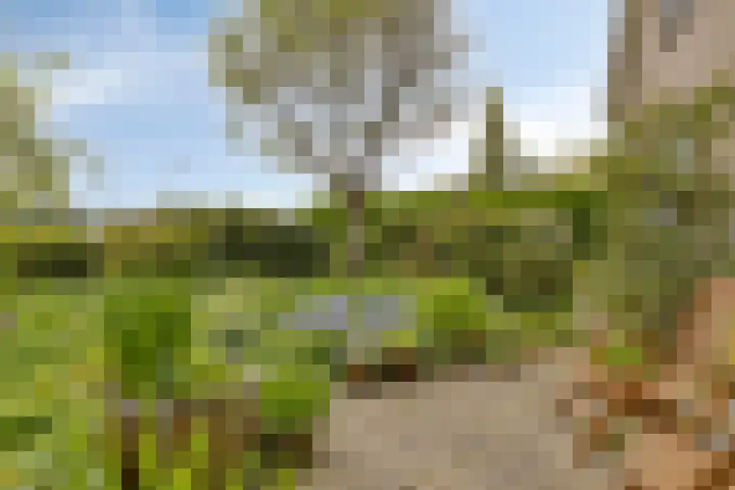 Omloop 43 Schoorl thumbnail 6