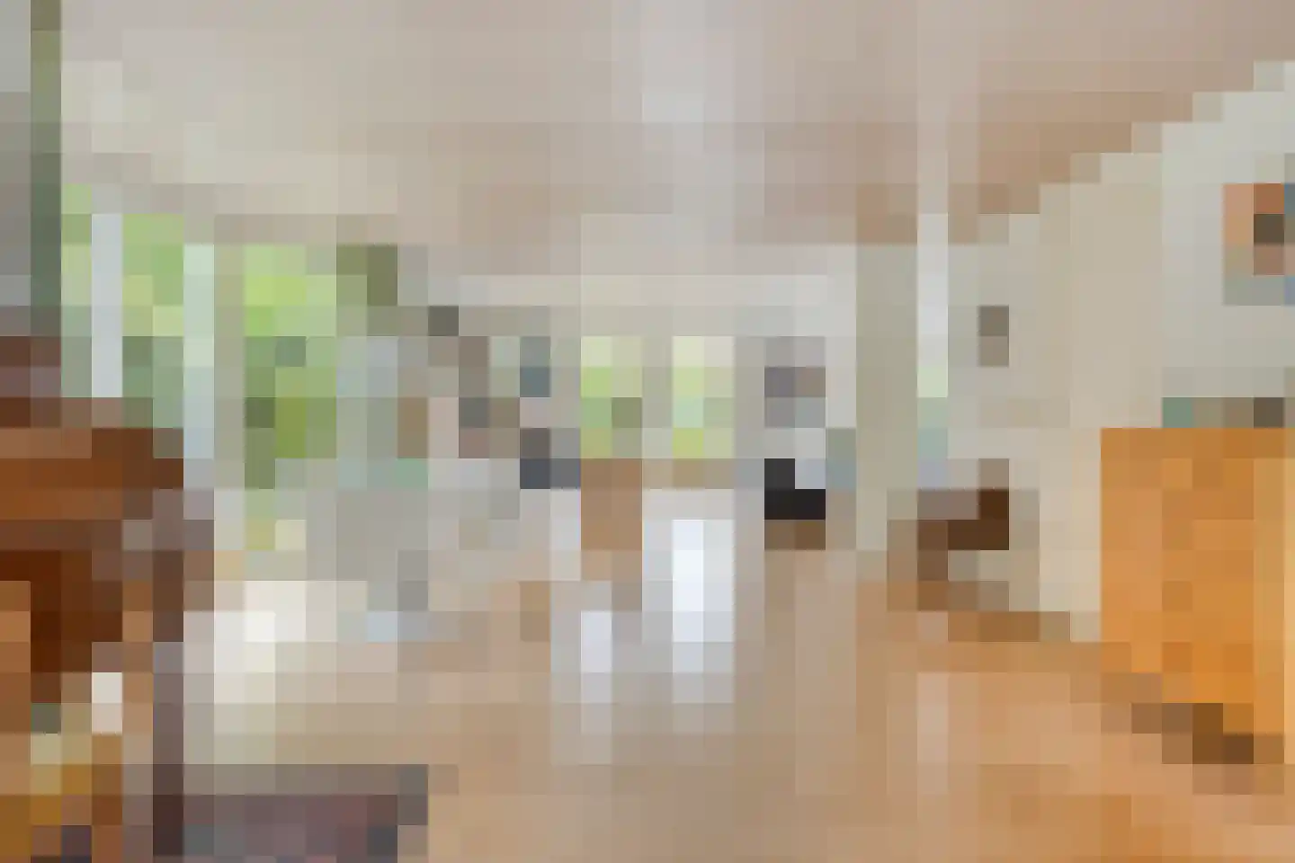 Omloop 43 Schoorl thumbnail 8
