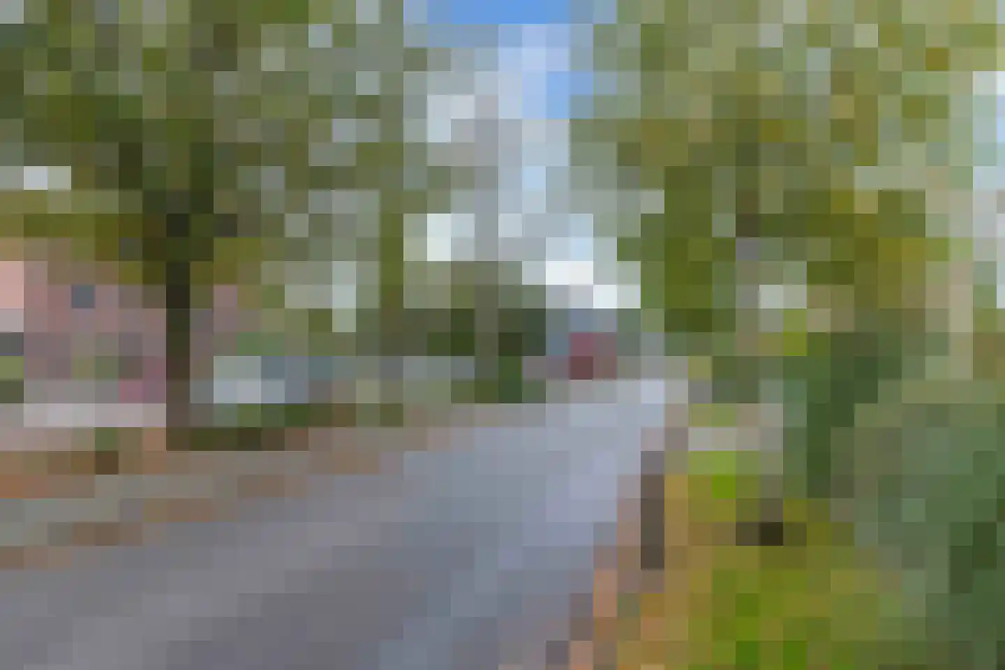 Omloop 44 a Drachten thumbnail 29