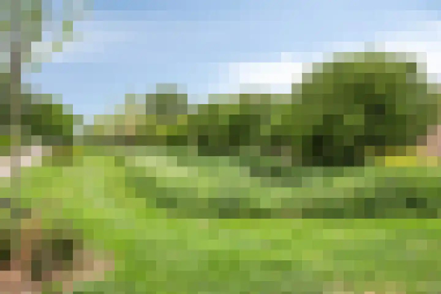 Omloop 45 Middelburg thumbnail 29
