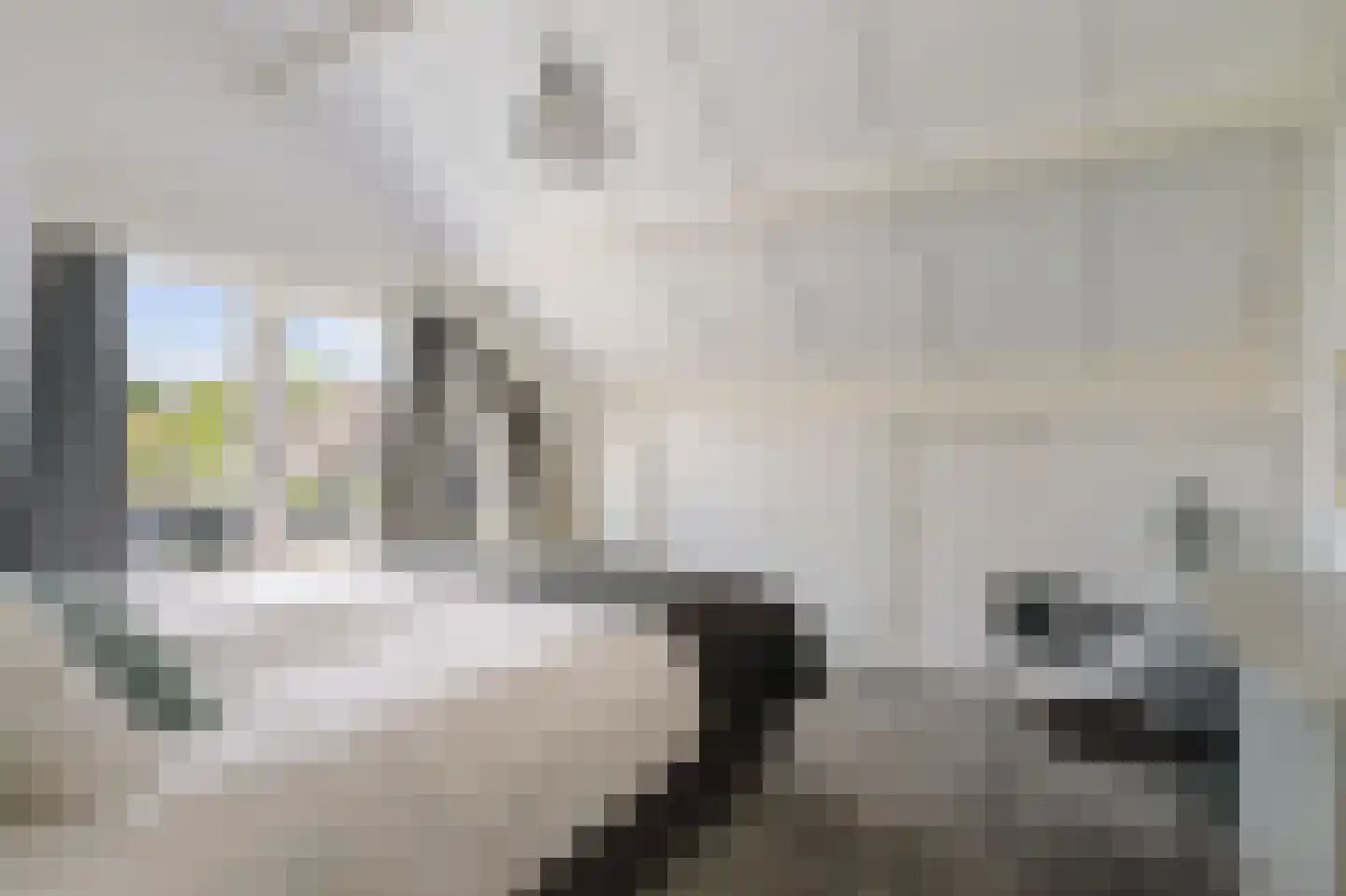 Omloop 47 Twello thumbnail 26