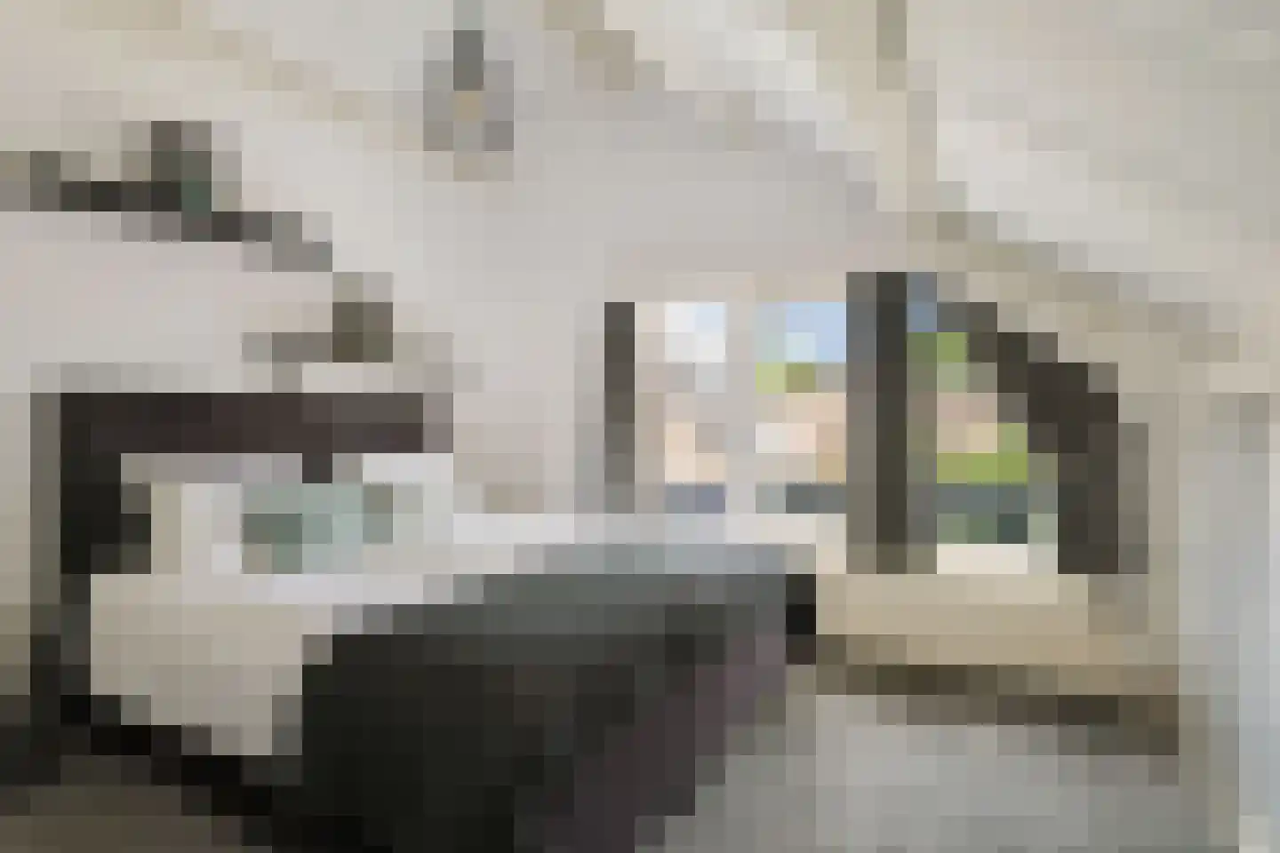 Omloop 47 Twello thumbnail 27